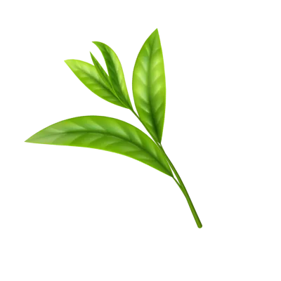 Tea Tree