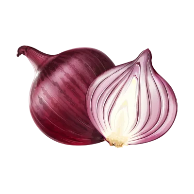 Onion extract