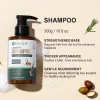 Rosemary Sulfate Free Shampoo for Hair Fall Solution – 100% Natural Formula (300g)