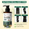 Rosemary Sulfate Free Shampoo for Hair Fall Solution – 100% Natural Formula (300g)